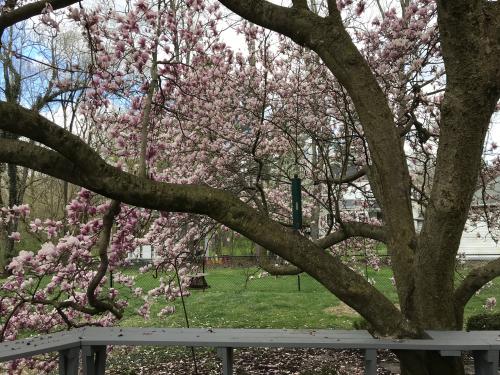 4A8CD6C7-C3F1-4C07-905B-D8805559676E