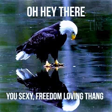 6478c21dcfbfe2e35aad7d8acdb690ae