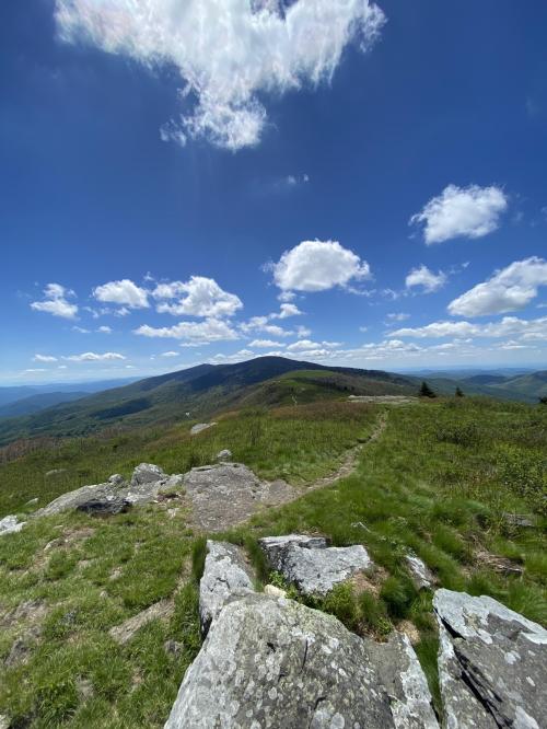 1201C1F4-556D-46B7-865E-3BF1E04D68CF