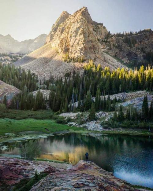 FB_IMG_1599563978241