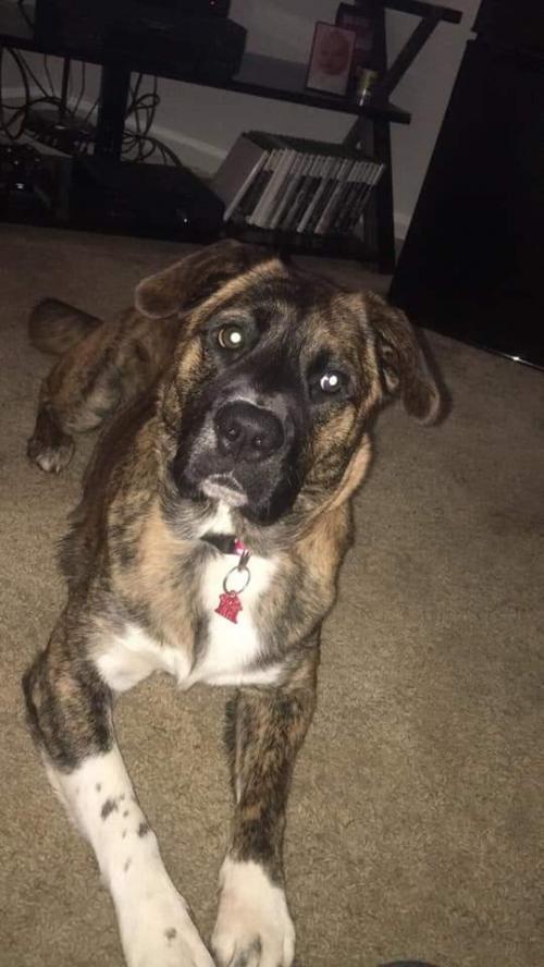 FB_IMG_1599046391521