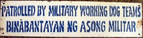 1467479_3647516161763_1050318012_n