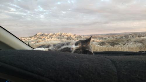 result_1599103702129