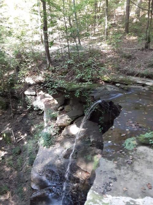 FB_IMG_1599453568815