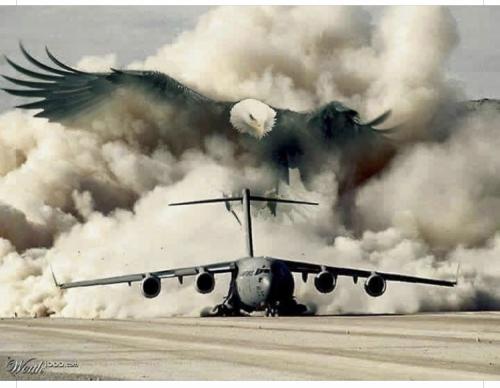 2B4CA22C-0695-4604-B351-CAEBC94DB2AA