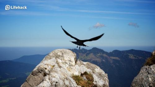 5-Steps-to-Reclaim-Your-Personal-Freedom-1 (1)