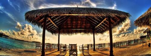 tropical faceboook cover