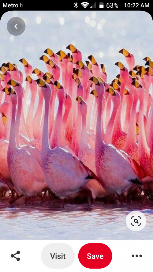 Screenshot_20200829-102206