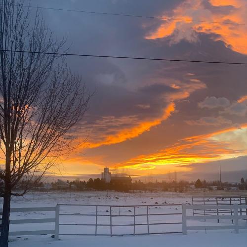 rickdancer_20200906_000710_0