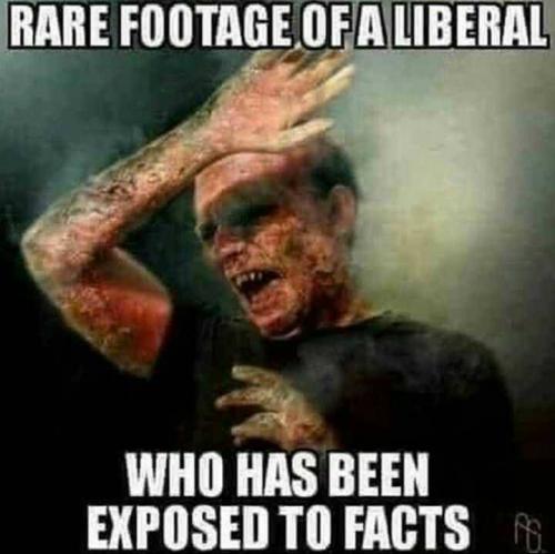 202009010440-W4w0oxkA7o