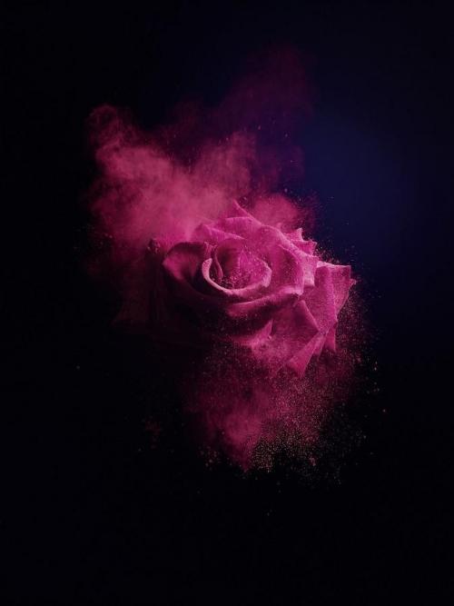 1252acc52bfd834e0689119d7e3c4632