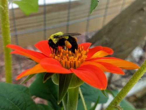 IMG_20200906_145043454