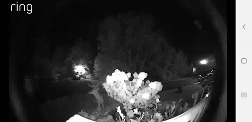 Screenshot_20200729-093631_Ring