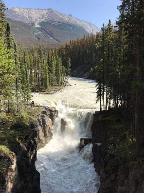 FB_IMG_1566760149785