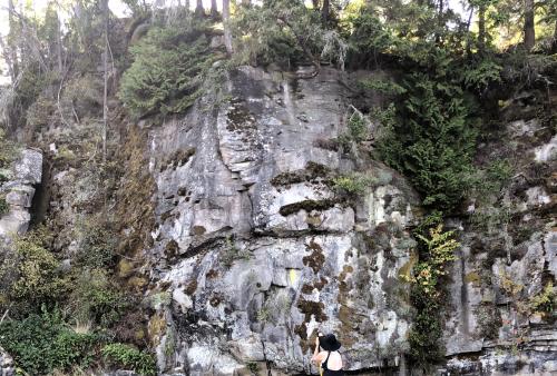 1AFE008F-5D68-4DC1-BFCD-63F40E572C7B