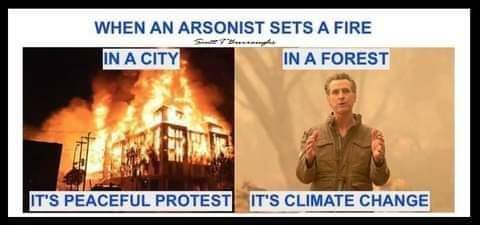 FB_IMG_1600517989303