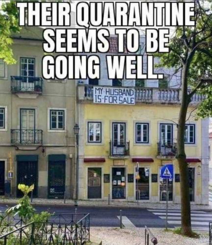 202009010440-ns4hGRrynX