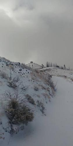 46758263_1982693941795882_1376424550354386944_n