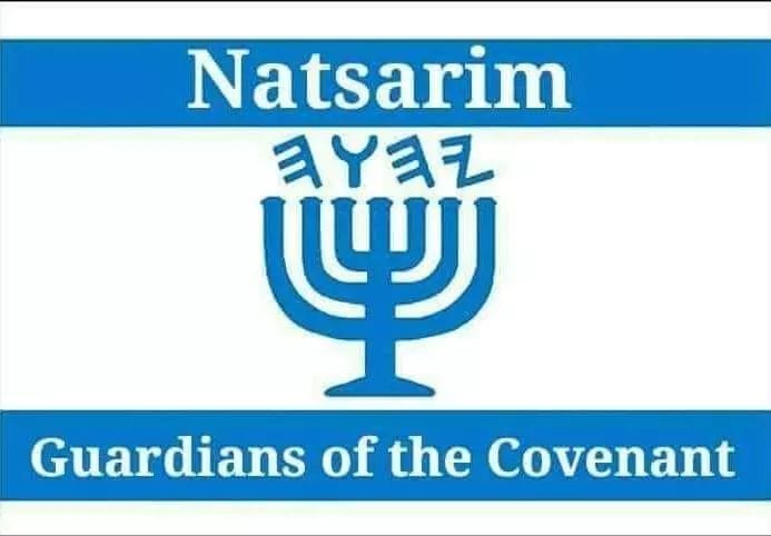 Natsarim