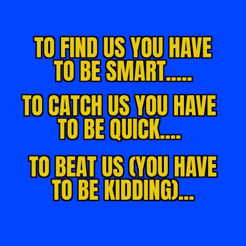 ZomboMeme 18072020105103