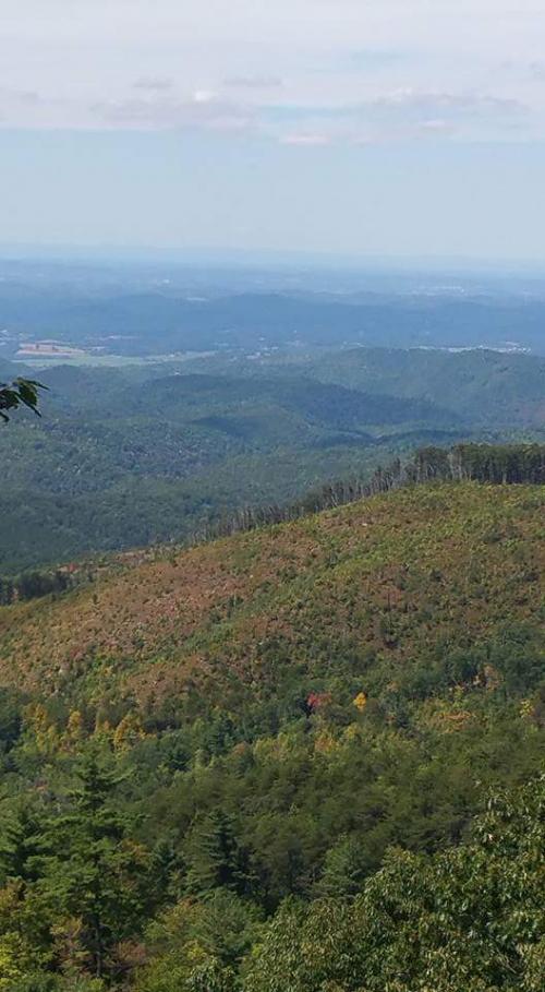 FB_IMG_1473639178335