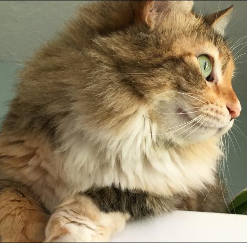 download_20200929_024801