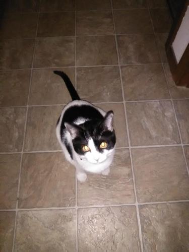 95507264_2771270049650415_6792547089940217856_o