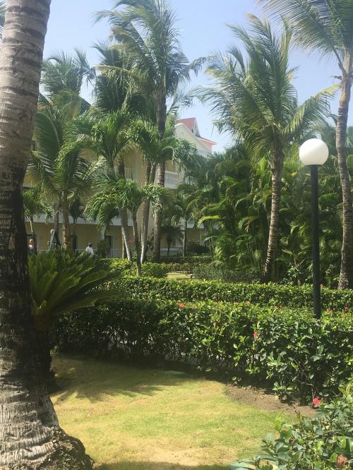 901A6666-0C72-4D4B-BFE1-47CB32C56AA3