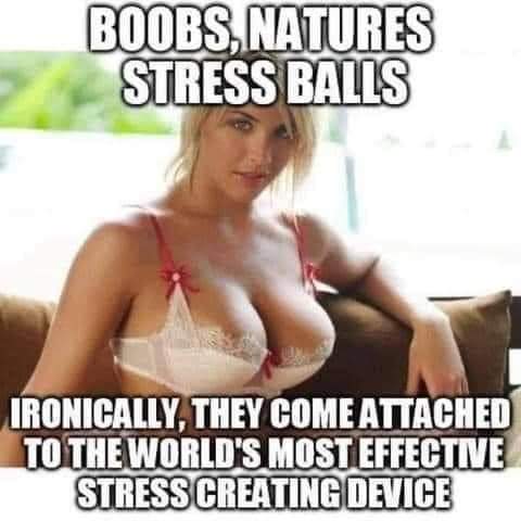 FB_IMG_1599434392260