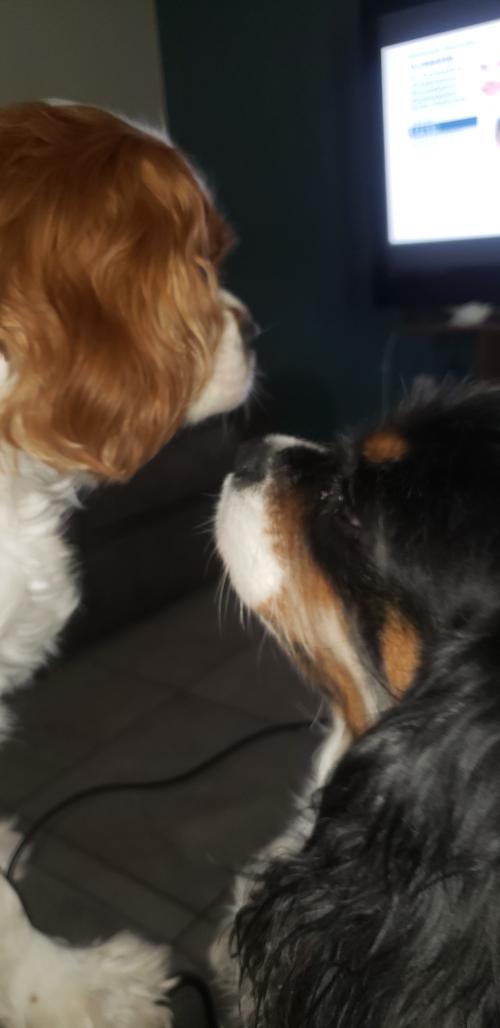 Resized_20200817_104707(1)