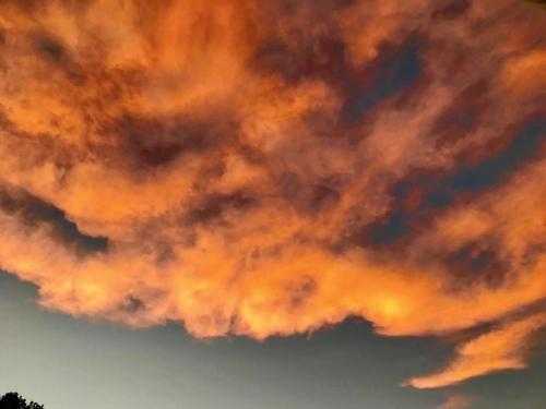 8828F56F-56CB-456F-9F1B-CD00AE195955