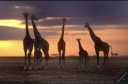 022F764F-6372-481F-B256-EE7B590C4BAD