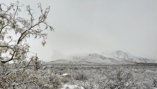 IMG_20191227_100646439_HDR