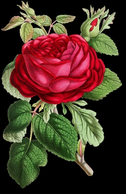 download_20200814_134820