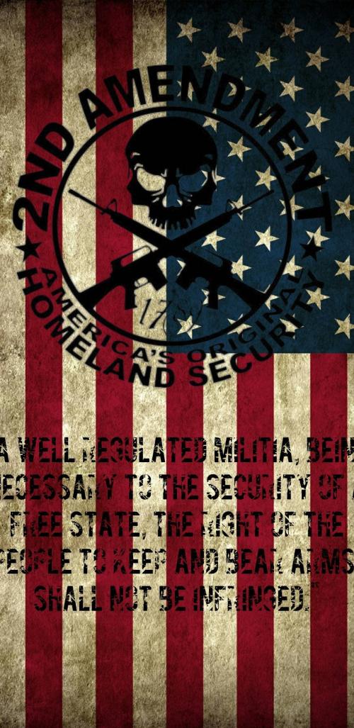 2nd_Amendment_Flag-ab03ef40-0a2a-4672-b9e2-ba74df668106