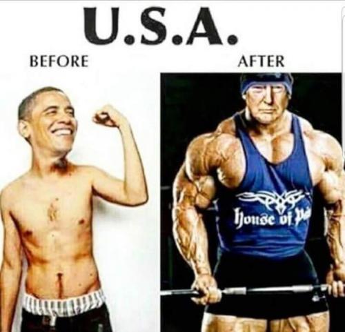 FB_IMG_1541993222990