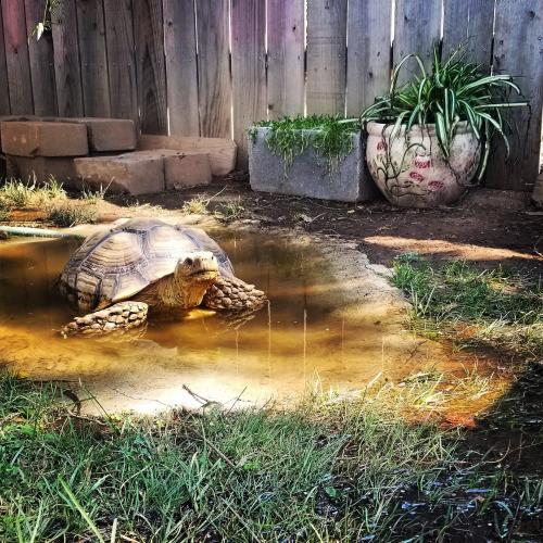 IMG_20200829_120642_574