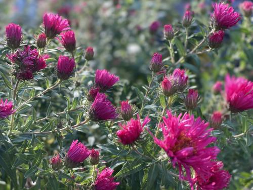 2044CD36-6282-4FD4-82CC-8B06C9F3B7DF