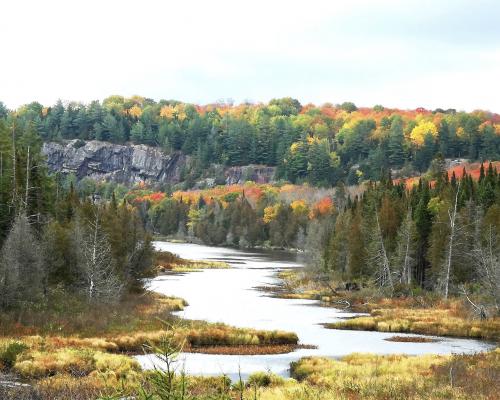 694BC7B0-8E72-41DF-99B9-9D6DDADDDA01