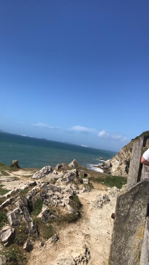 49799D78-BA52-4FE5-ABE9-56CC1612B3DC