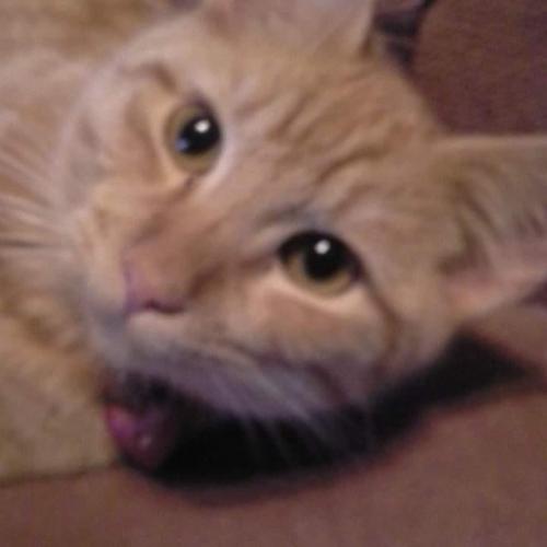 48406826_102023144190720_6774281337059672064_n