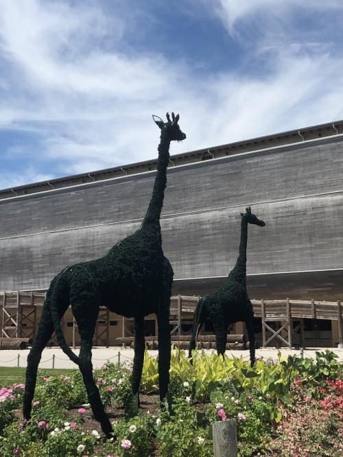 6FB11535-62A1-4A90-8FFE-74EAC1CDB2CF