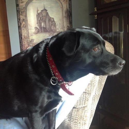 2823201B-F6C6-4FFB-B621-23747F97EEB0