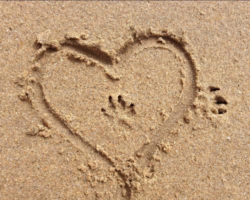 Screenshot_20200901-110349_Photos