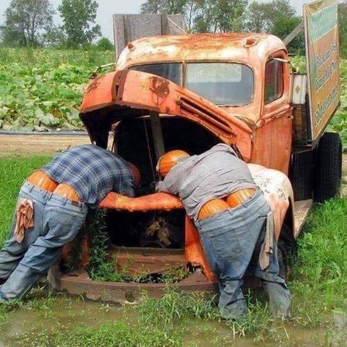 pumpkin repair