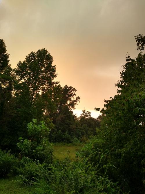 IMG_20200823_194642100_HDR