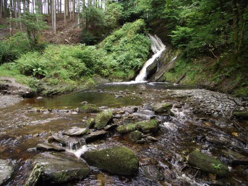 11259334_1651178965115669_1326038191465142962_o