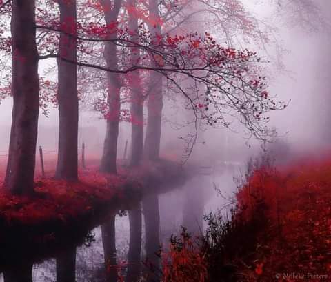 received_391742141820879