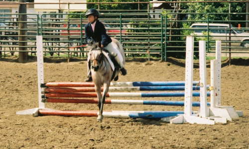 Gracie and Firefly in the Jumpers class