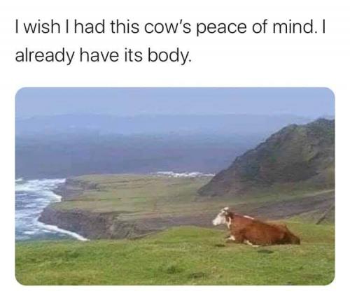 FB_IMG_1598386896261